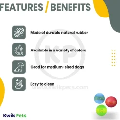 JW Pet iSqueak Ball Dog Toy Assorted Large 3 Pack