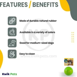 JW Pet iSqueak Ball Dog Toy Assorted Large