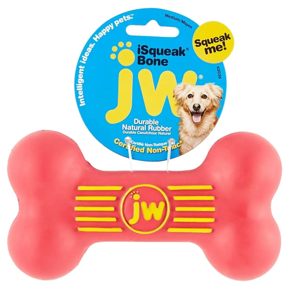 JW Pet iSqueak Bone Dog Toy Assorted Medium
