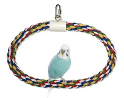 JW Pet Swing N Perch Ring Bird Toy Multicolor Large