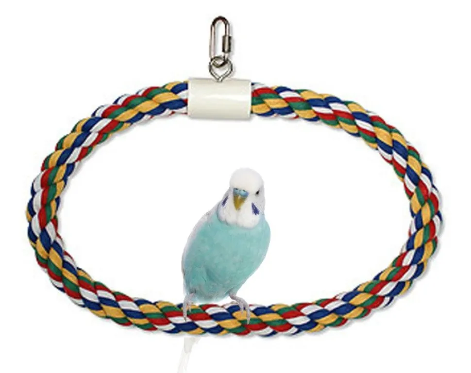 JW Pet Swing N Perch Ring Bird Toy Multicolor Large