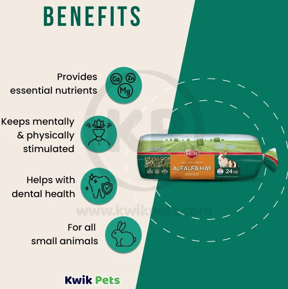 Kaytee Alfalfa Mini Bale Hay for Small Animals 24-oz