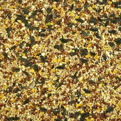 Kaytee Basic Blend Wild Bird Food 10-lb