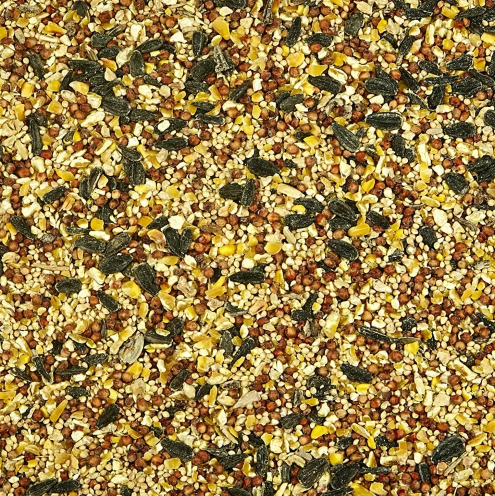 Kaytee Basic Blend Wild Bird Food 10-lb