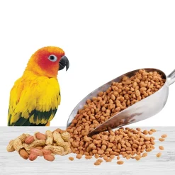 Kaytee Bonding Bites Bird Training Treats Peanut Butter 3-oz