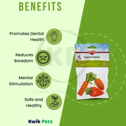 Kaytee Carrot Patch Chew Toy for Rabbits, Guinea Pigs & Chinchillas 3 Count