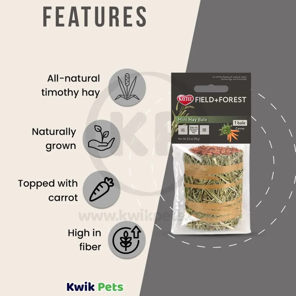 Kaytee Field+Forest Mini Hay Bale Apple for Rabbits Guinea Pigs & Chinchillas 3.5-oz