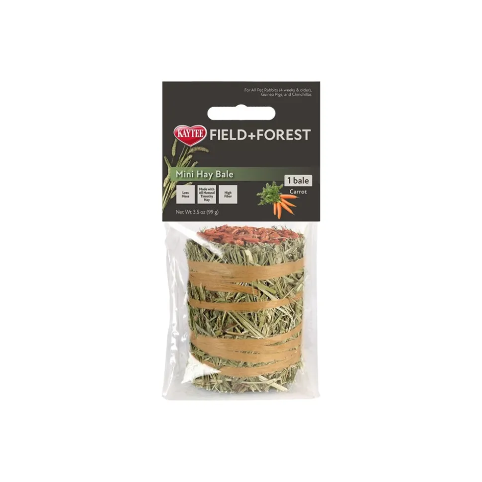 Kaytee Field+Forest Mini Hay Bale Carrot for Rabbits Guinea Pigs & Chinchillas 3.5-oz