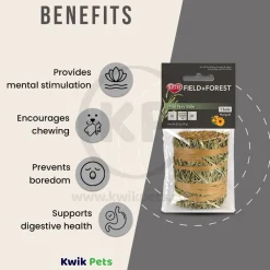 Kaytee Field+Forest Mini Hay Bale Marigold for Rabbits Guinea Pigs & Chinchillas 3.5-oz