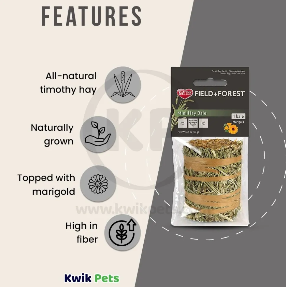 Kaytee Field+Forest Mini Hay Bale Marigold for Rabbits Guinea Pigs & Chinchillas 3.5-oz