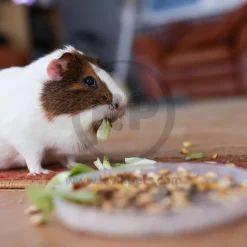 Kaytee Fiesta Hamster & Gerbil Food 2.5-lb