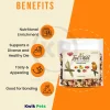 Kaytee Food from the Wild Natural Snack Small Pet Bird Treats 3-oz