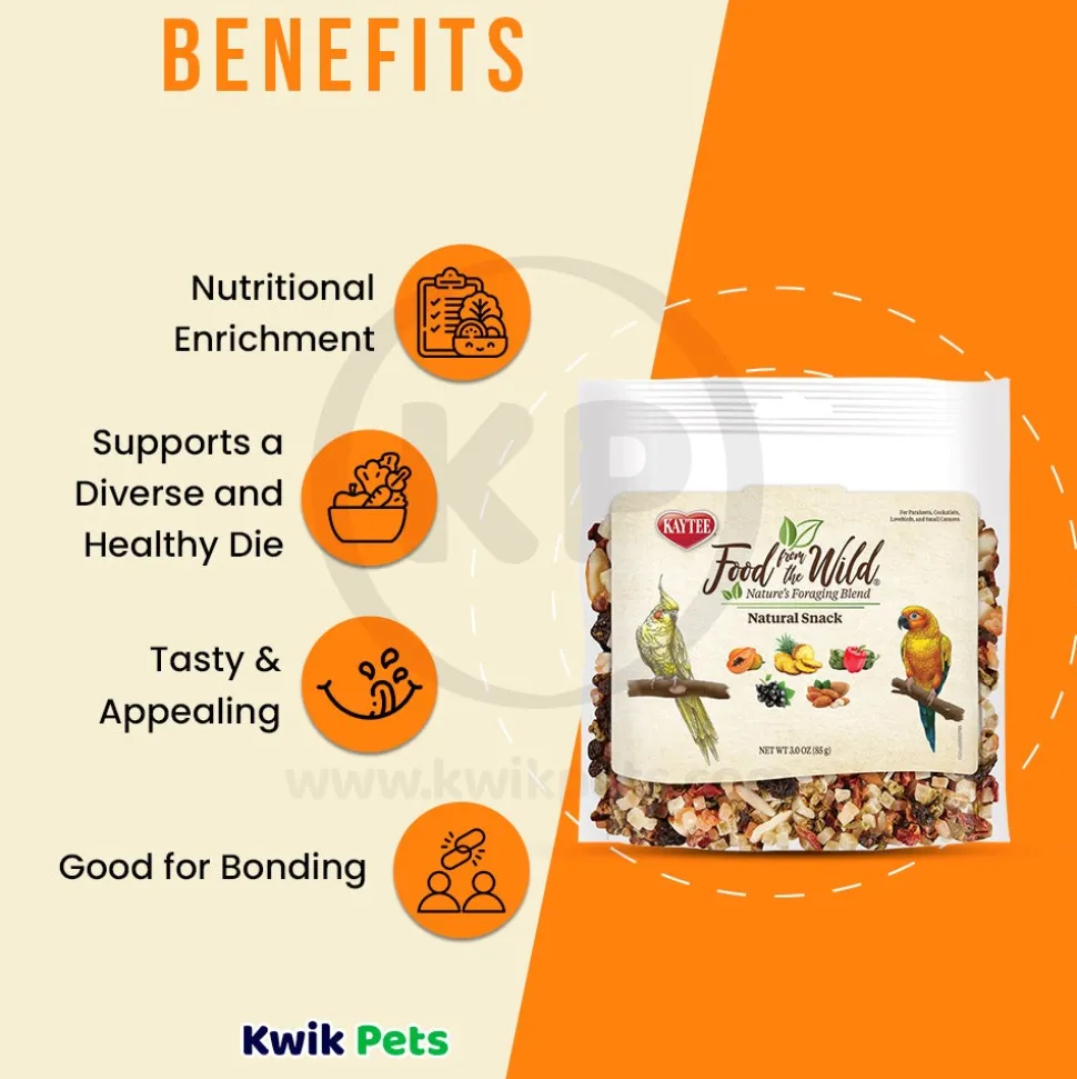 Kaytee Food from the Wild Natural Snack Small Pet Bird Treats 3-oz