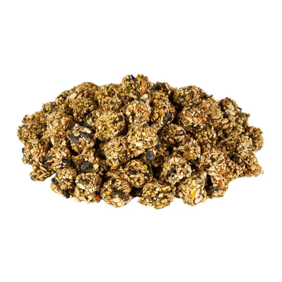 Kaytee Granola Bites with Superfoods Spinach & Kale Pet Bird Treats 4.5-oz