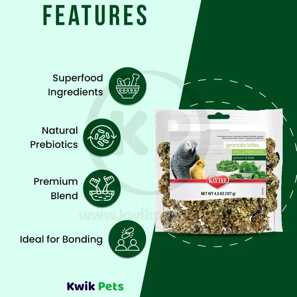 Kaytee Granola Bites with Superfoods Spinach & Kale Pet Bird Treats 4.5-oz