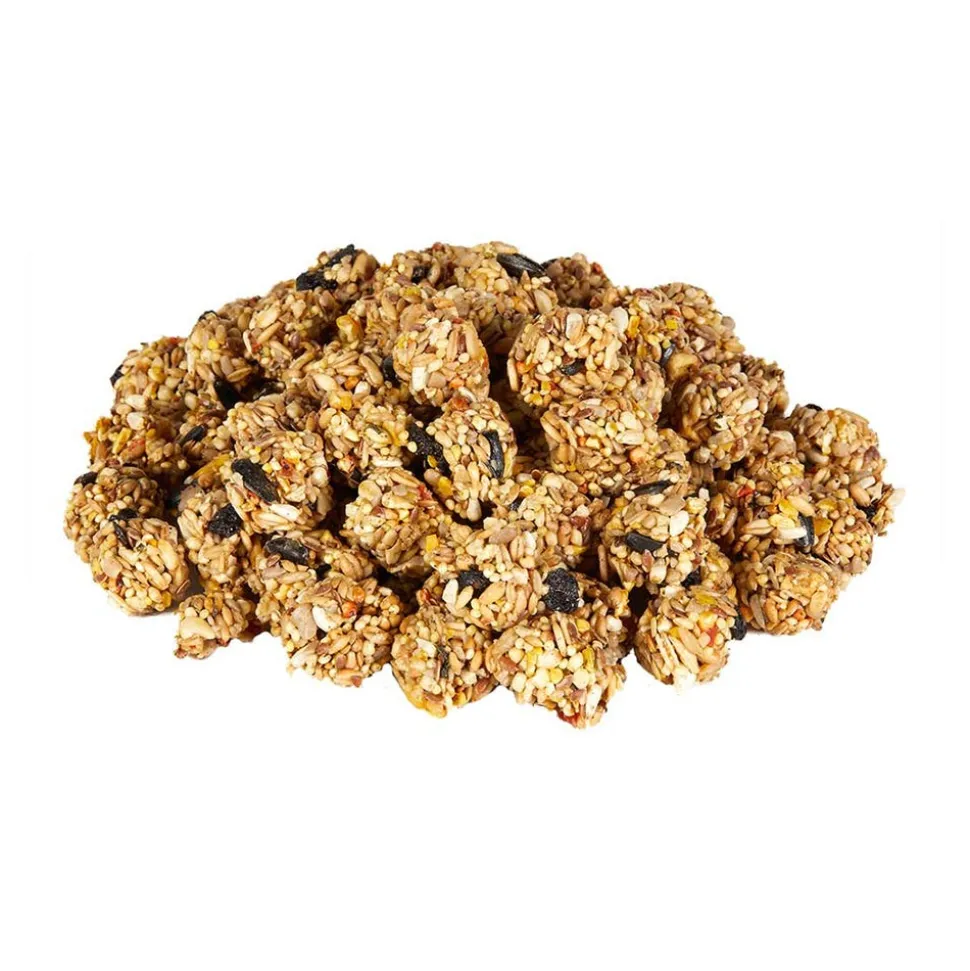 Kaytee Granola Bites with Superfoods Blueberry & Flax Pet Bird Treats 4.5-oz