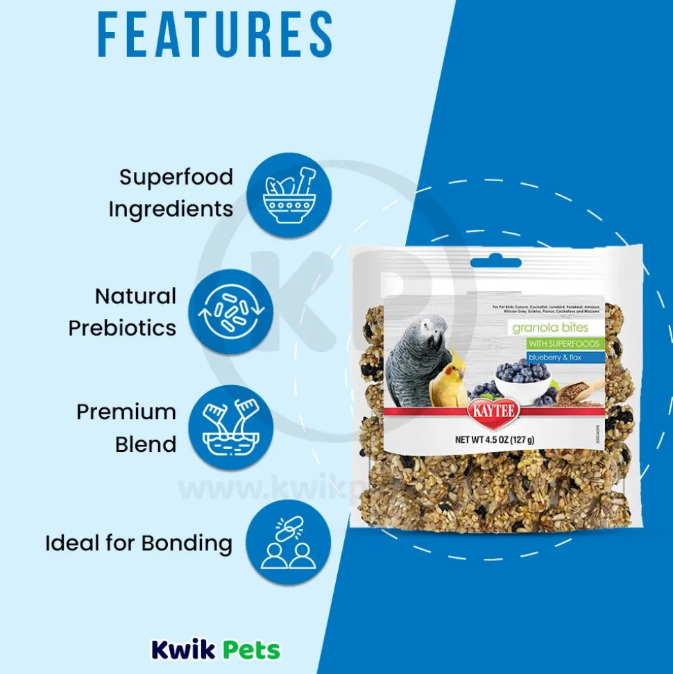 Kaytee Granola Bites with Superfoods Blueberry & Flax Pet Bird Treats 4.5-oz