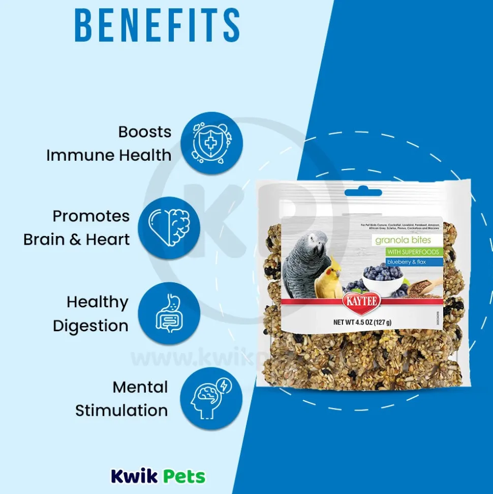 Kaytee Granola Bites with Superfoods Blueberry & Flax Pet Bird Treats 4.5-oz