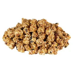 Kaytee Granola Bites with Superfoods Cranberry, Apple and Flax Small Animal Treats 4.5-oz