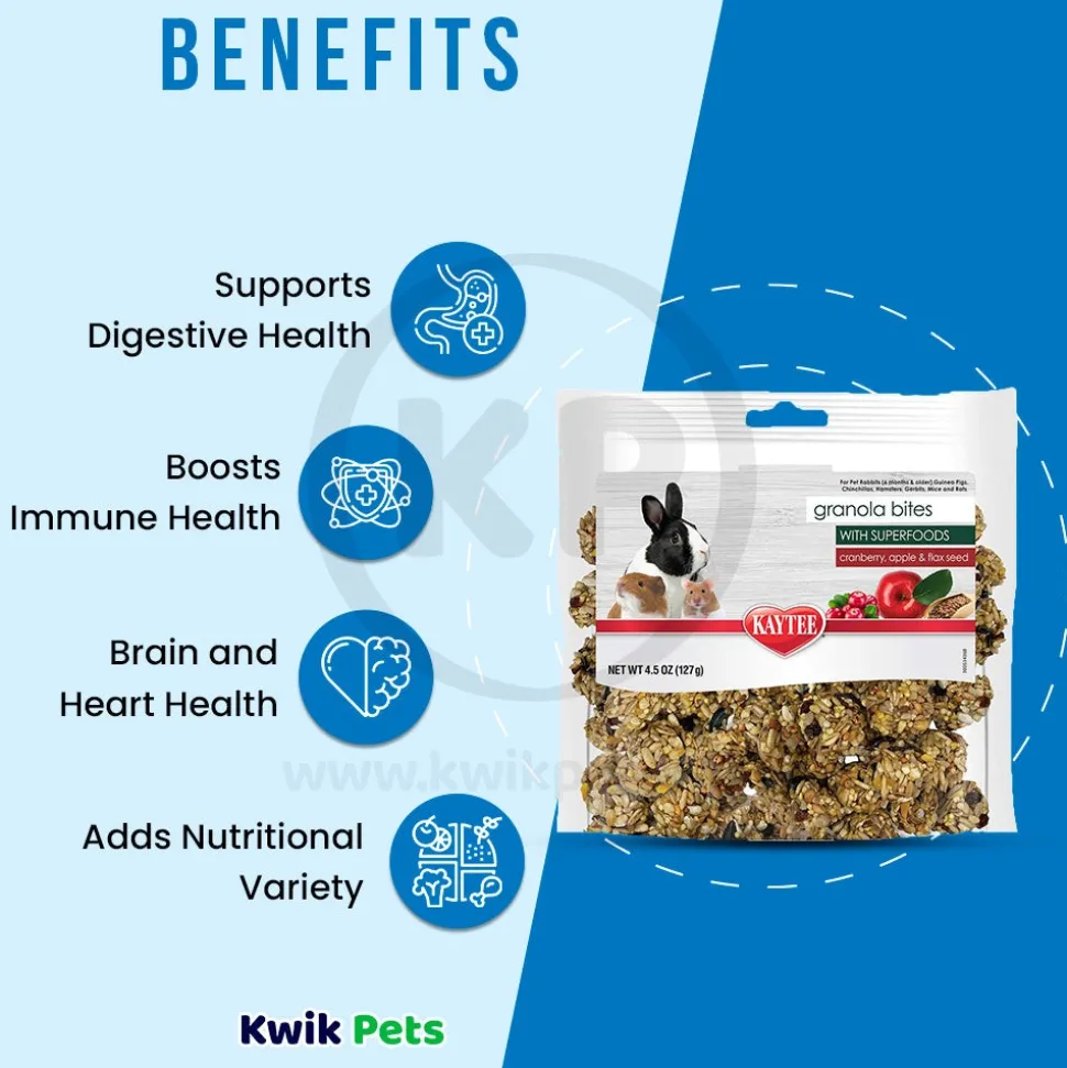 Kaytee Granola Bites with Superfoods Cranberry, Apple and Flax Small Animal Treats 4.5-oz