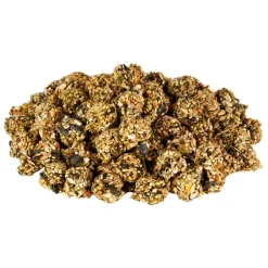 Kaytee Granola Bites with Superfoods Spinach & Carrot Small Animal Treats 4.5-oz