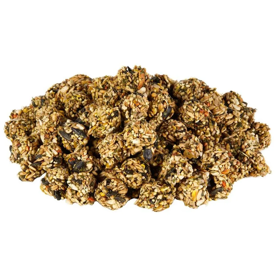 Kaytee Granola Bites with Superfoods Spinach & Carrot Small Animal Treats 4.5-oz