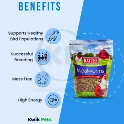 Kaytee Mealworms Wild Bird Food & Chicken Treat 32-oz