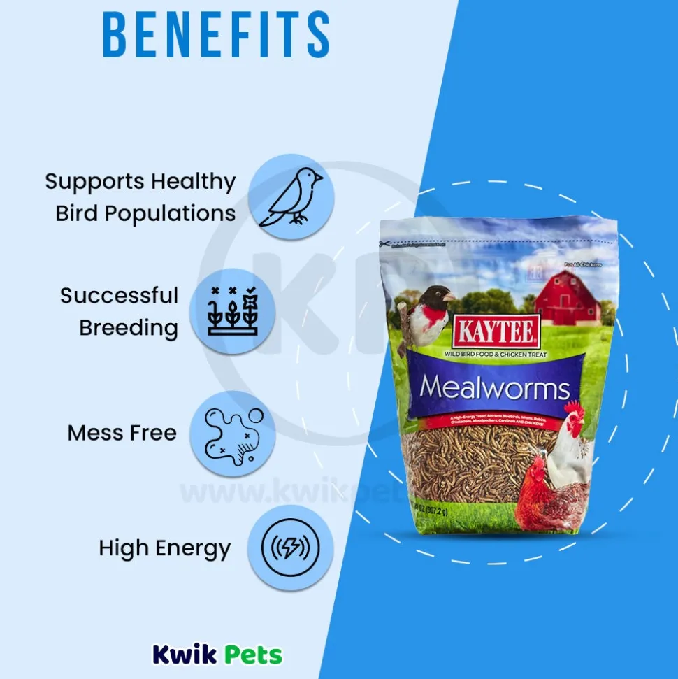 Kaytee Mealworms Wild Bird Food & Chicken Treat 32-oz