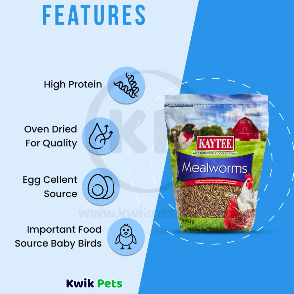 Kaytee Mealworms Wild Bird Food & Chicken Treat 32-oz