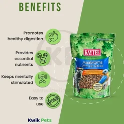 Kaytee Mealworms Wild Bird Food & Chicken Treat 7-oz