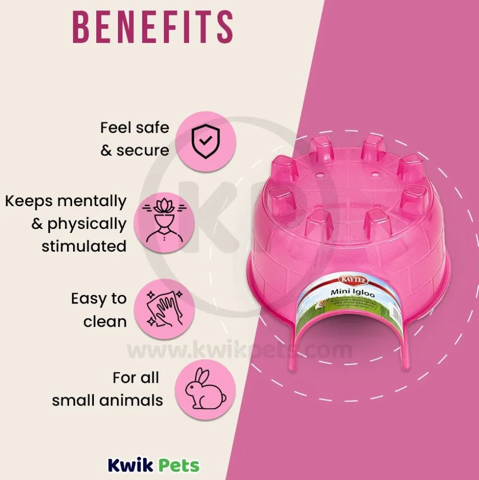 Kaytee Mini Igloo Small Animal Hideout Assorted