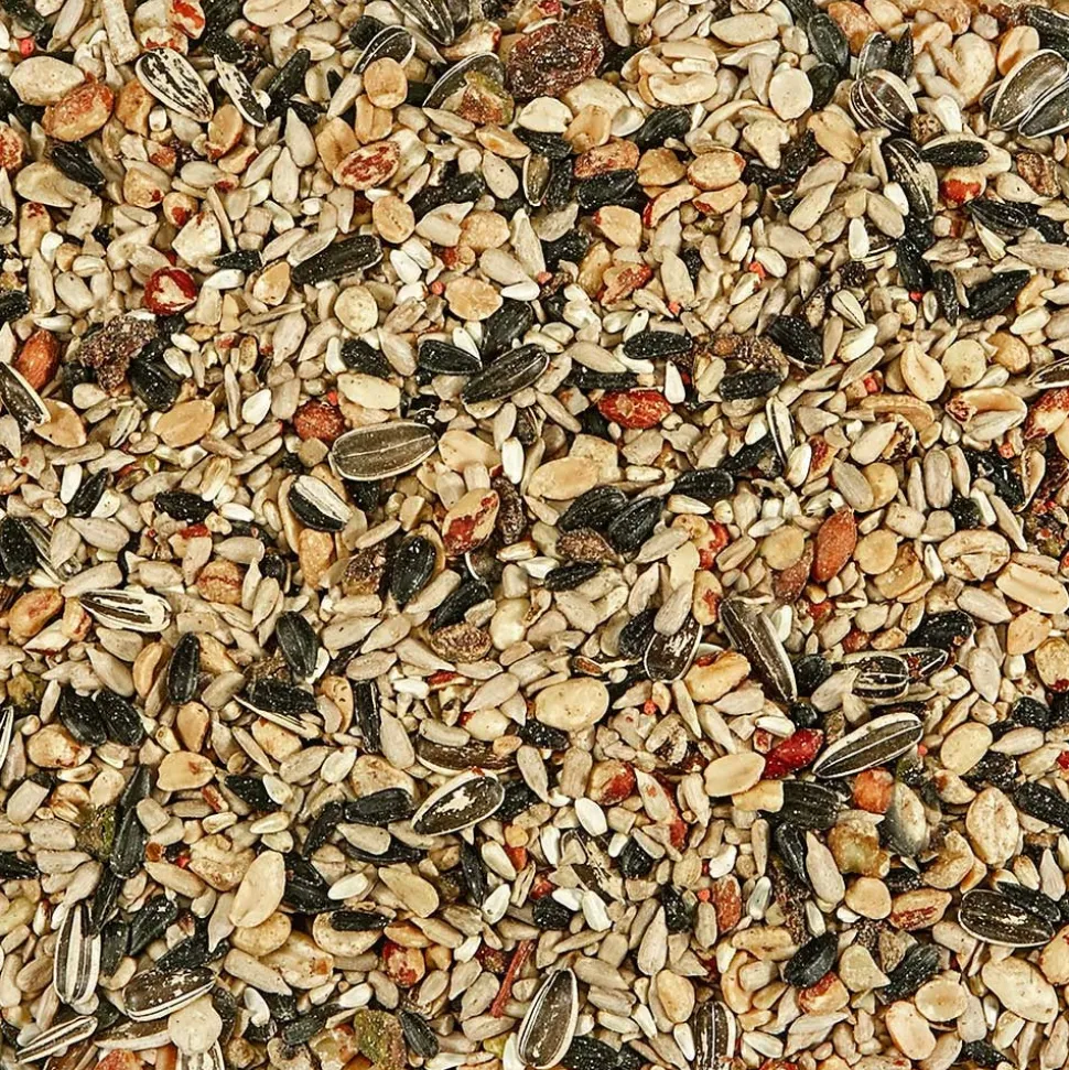 Kaytee Nut & Fruit Blend Wild Bird Food 5-lb