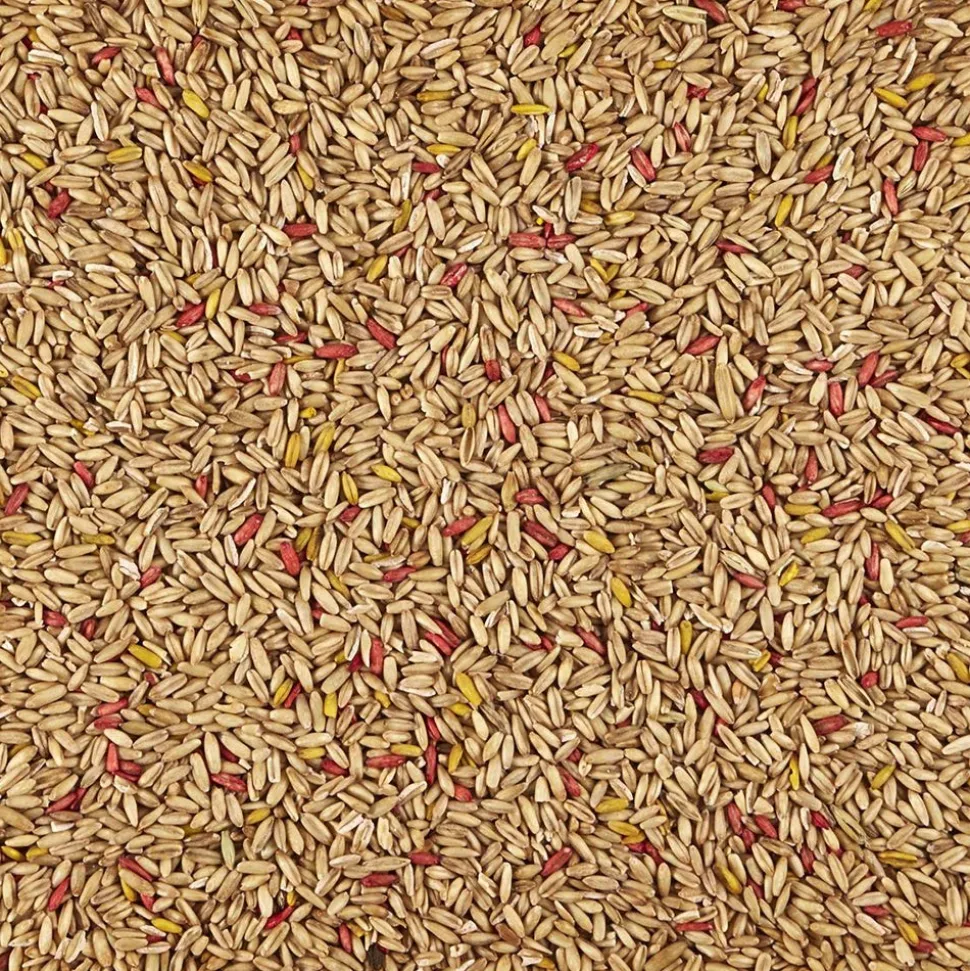 Kaytee Oat Groats Treat for All Pet Birds 11-oz