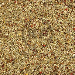Kaytee Orange Flavored Parakeet Bird Treat 10-oz