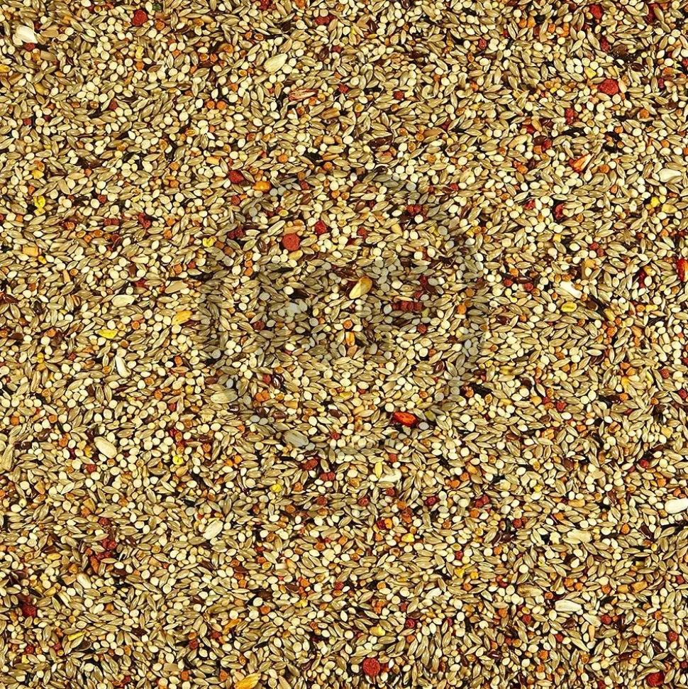 Kaytee Orange Flavored Parakeet Bird Treat 10-oz