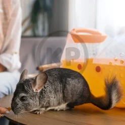 Kaytee Perfect Chews Chinchillas Toy