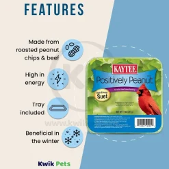 Kaytee Positively Peanut High Energy Wild Birds Mini Suet 11-oz