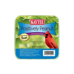 Kaytee Positively Peanut High Energy Wild Birds Mini Suet 11-oz