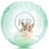Kaytee Run-About Small Animal Mini Exercise Ball Rainbow 5-in