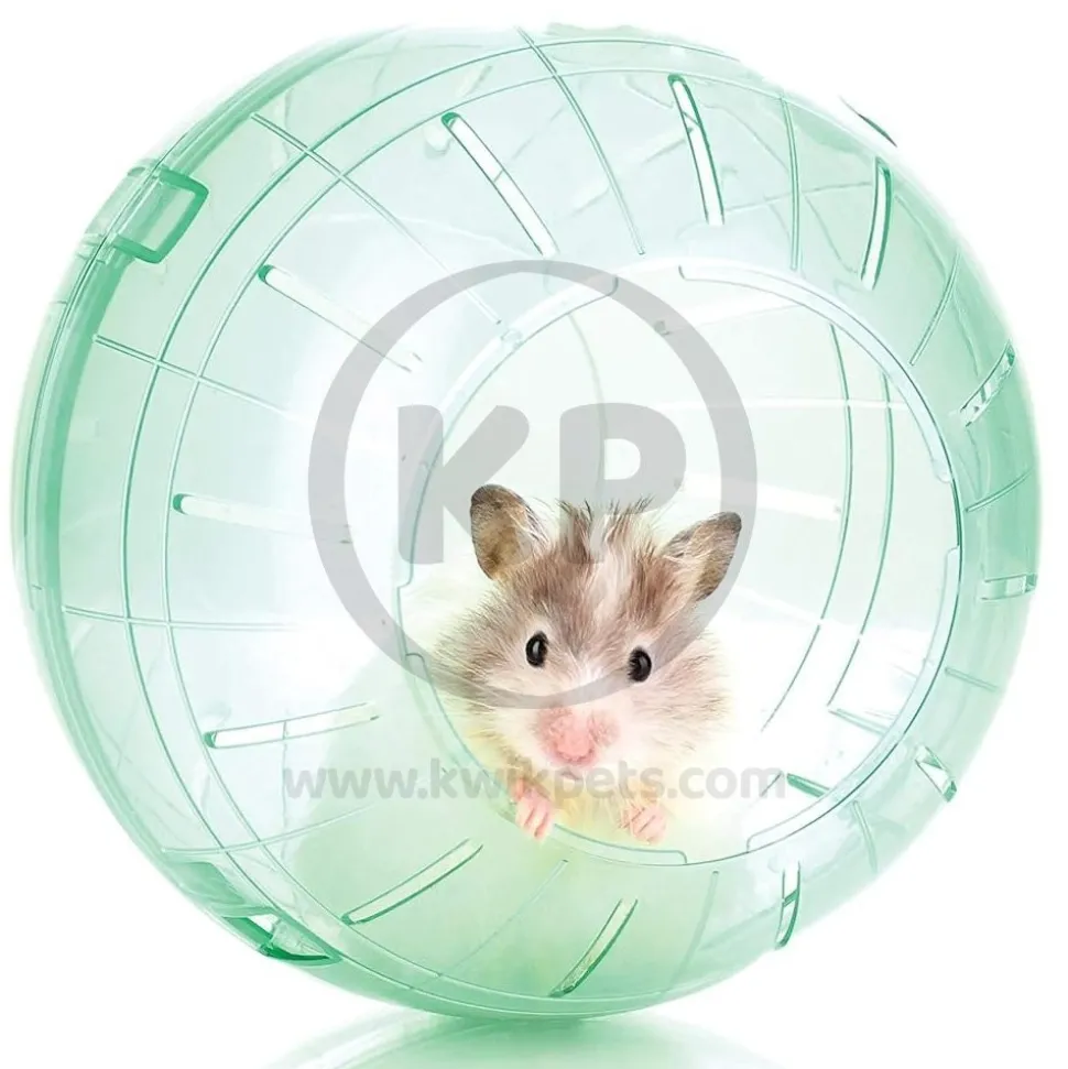 Kaytee Run-About Small Animal Mini Exercise Ball Rainbow 5-in