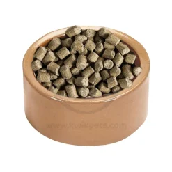Kaytee Stoneware Pet Bowl 5-in
