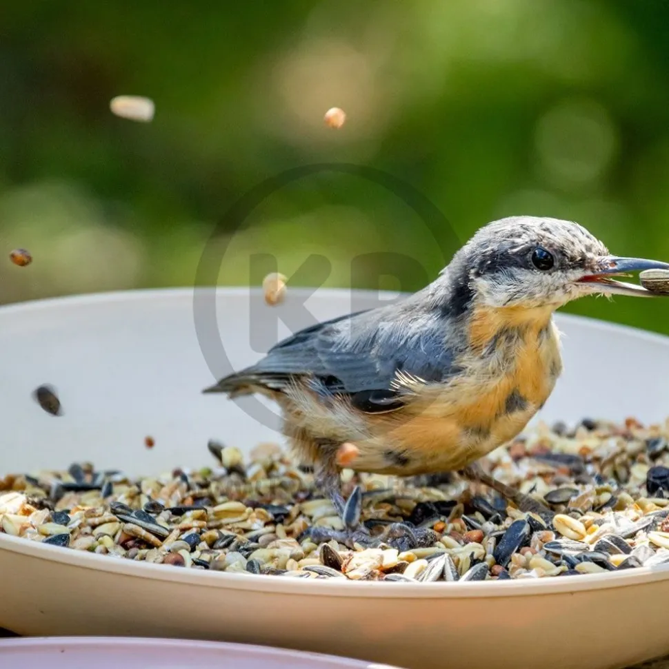 Kaytee Supreme Wild Bird Food 25-lb