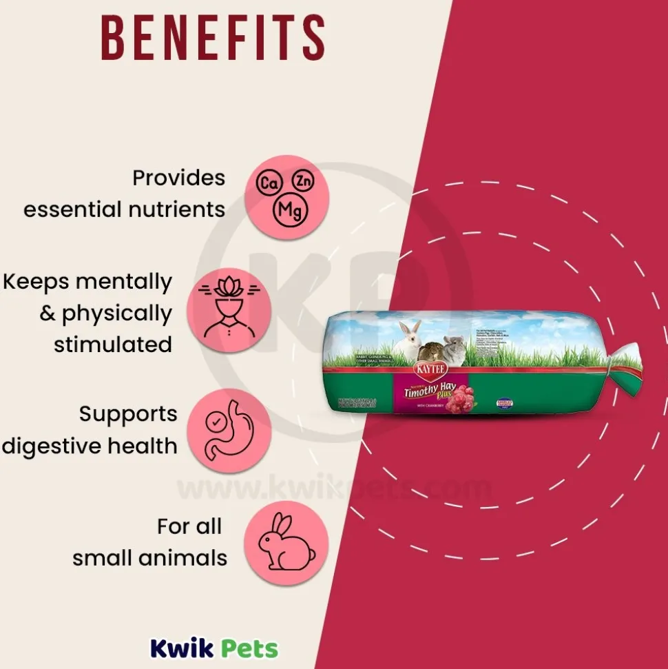 Kaytee Timothy Hay Plus Cranberries for Small Animals 24-oz