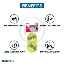 KONG AirDog Squeakair Tennis Ball Dog Toy Large 2 Count