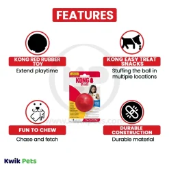 KONG Ball Dog Toy Red Small