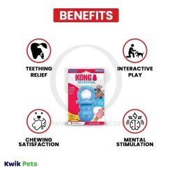 KONG Binkie Puppy Toy Assorted Medium
