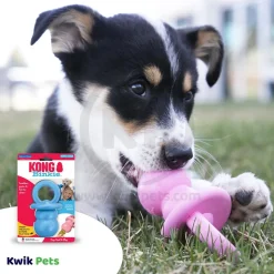 KONG Binkie Puppy Toy Assorted Medium