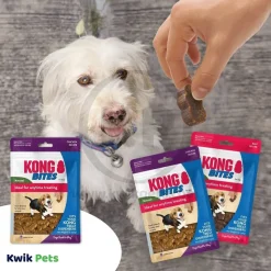 KONG Bites Dog Treats Regular Chicken 5-oz