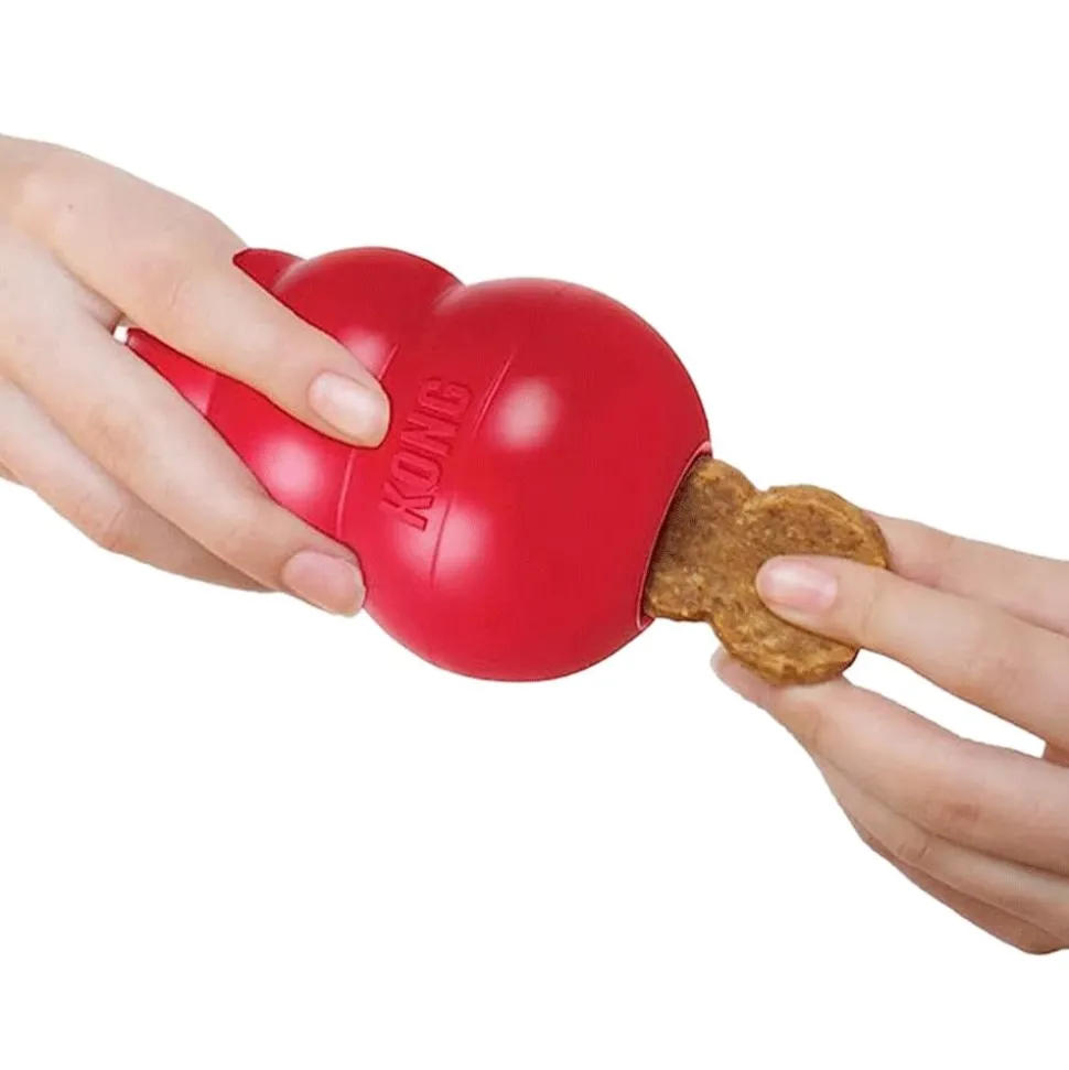 KONG Bites Dog Treats Regular Chicken 5-oz