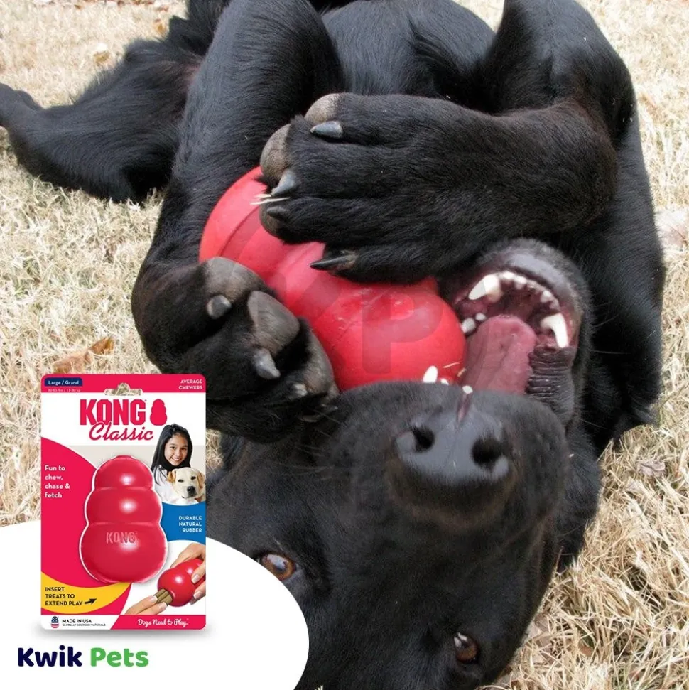 KONG Classic Dog Toy Large